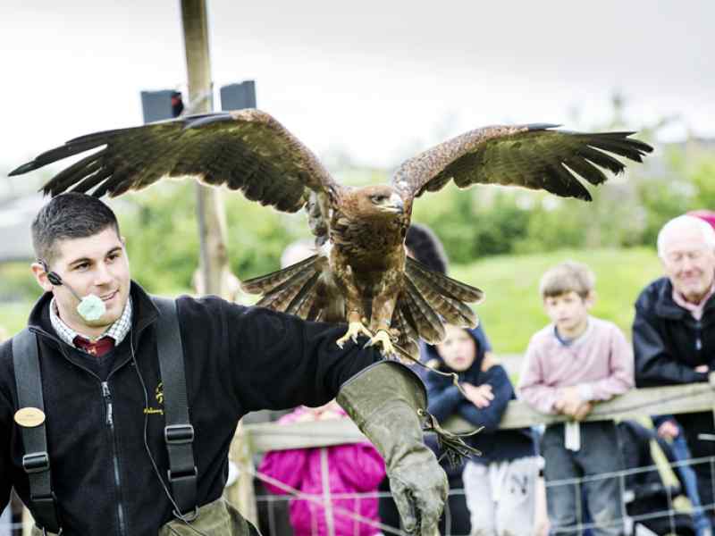 Jon Thorne Photography at National Forest Adventure Farm