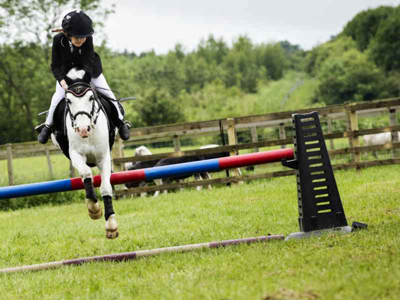 Jon Thorne Photography at National Forest Adventure Farm