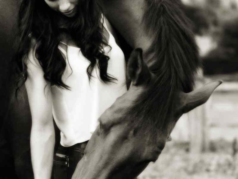Jon Thorne Horse Photography