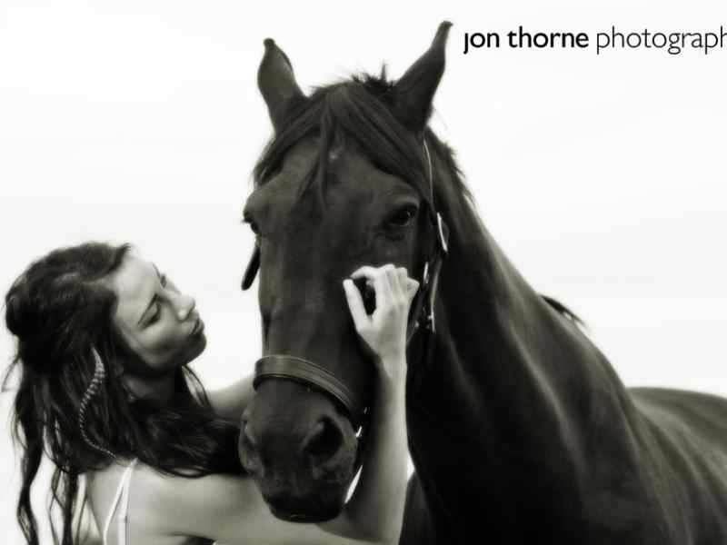 Jon Thorne Horse Photography