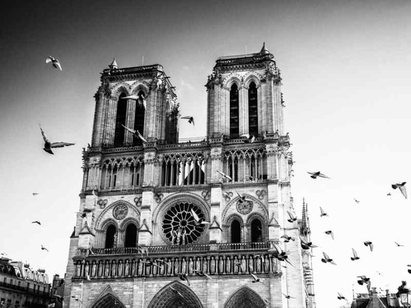  editorial photography Paris photography Notre-Dame de Paris